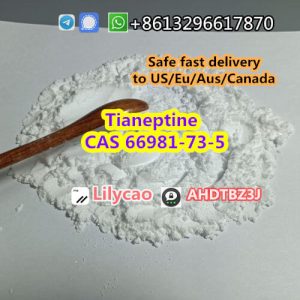 Supply factory Tianeptine CAS 66981-73-5